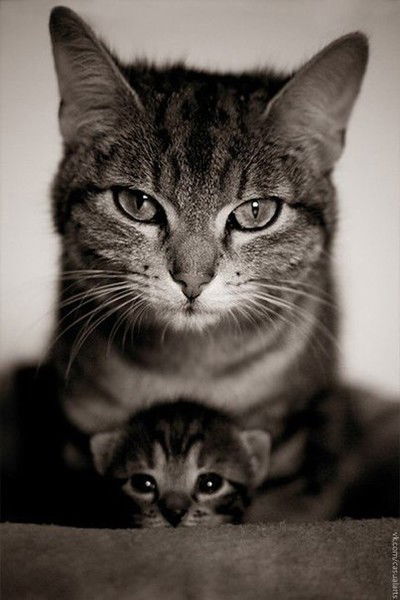 Анастасия Мусина