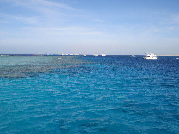 Елена Игнатова