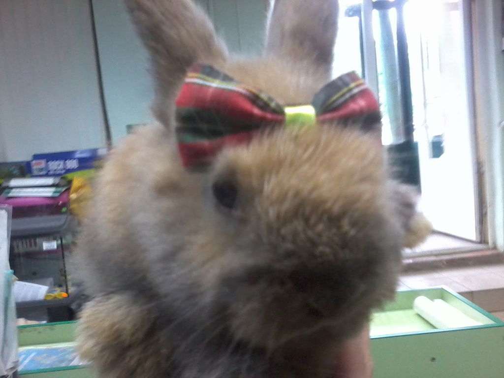 Максим Никулин