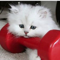 Аришка Ваймер