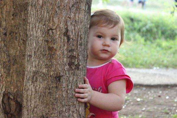 Фёдор Деревяшкин