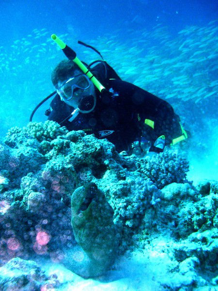 Алексей Балыков