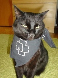 Вероника Иванова