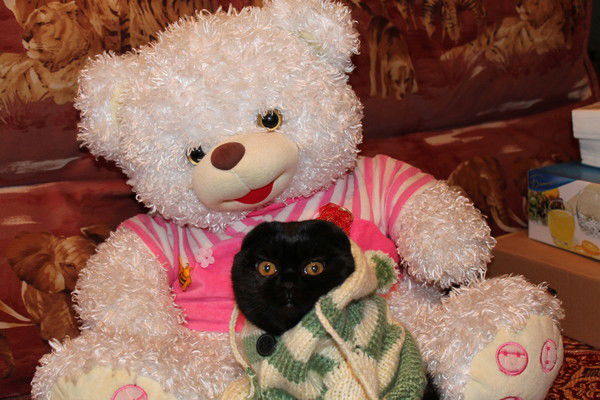 Виктория Дорохина