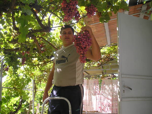 Рустам Валиев