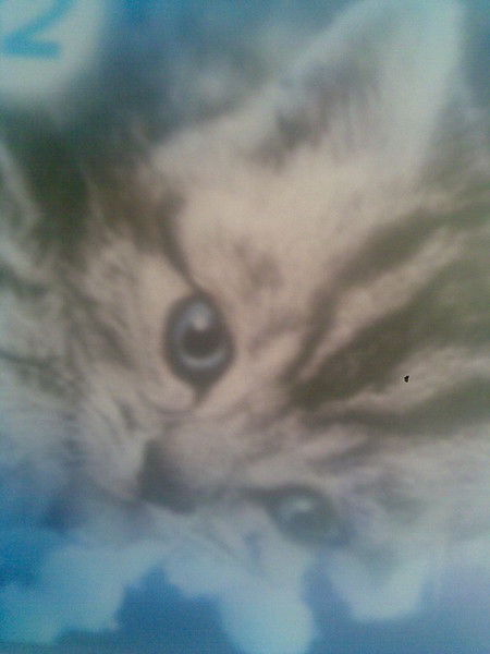 Ирина Терскова