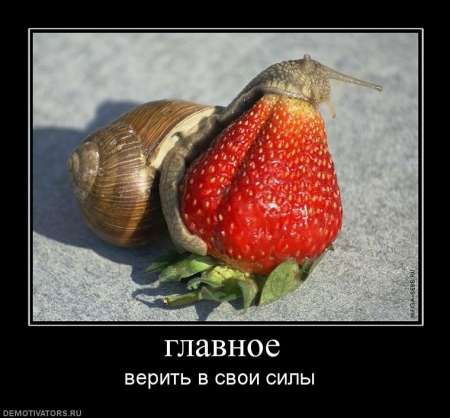 Иван Строгонов