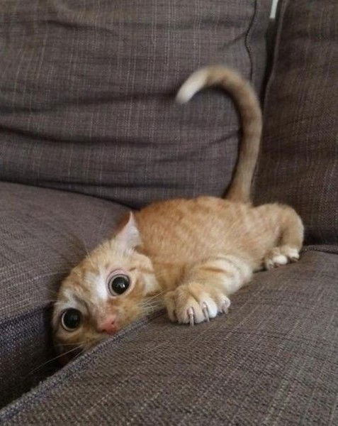 Мария Родина