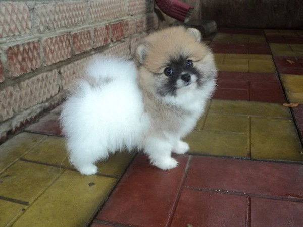 Эльвира Кадырова