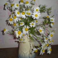 Галина Корякова