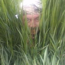 Сергей Моисеев