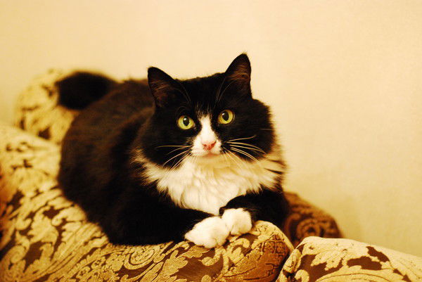 Ольга Веретнова