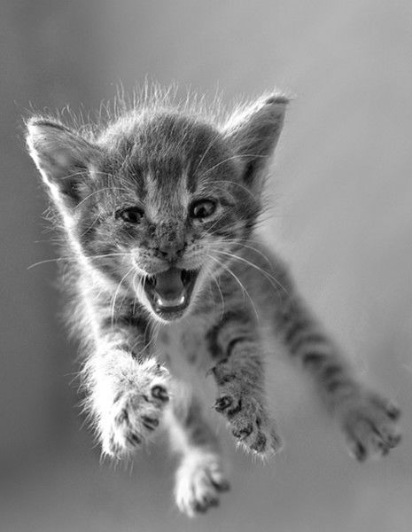 Геннадий Шумченко