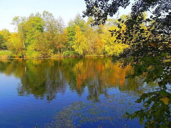 Юля Дехтярёва