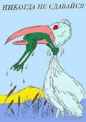 Анна Байдак