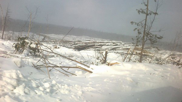 Роман Коробейников