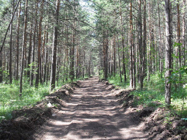 Светлана Васильева