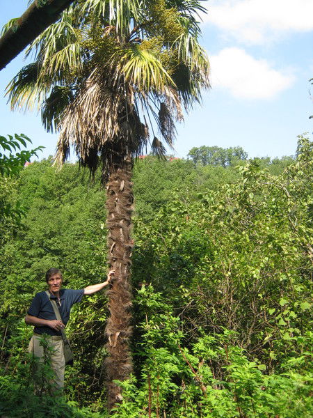Андрей Паньков