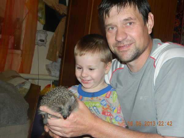 Андрей Галкин