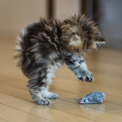 Балдычева Валентина