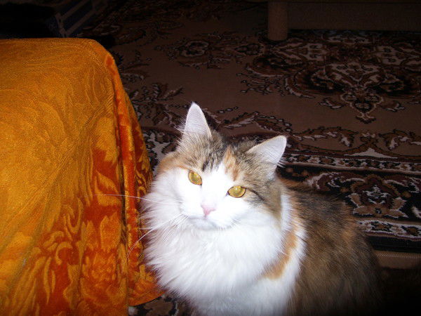 Иннеса Хасанова