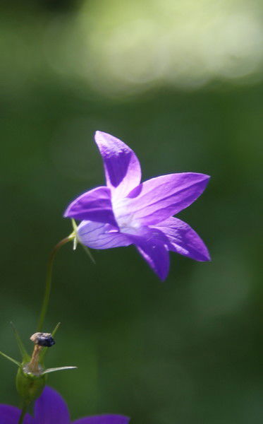 Надежда Грищенко