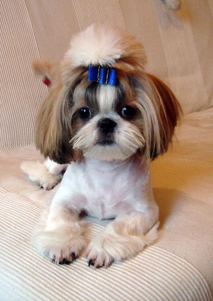 Ольга Терепенко