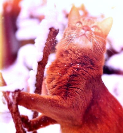 Илья Редькин