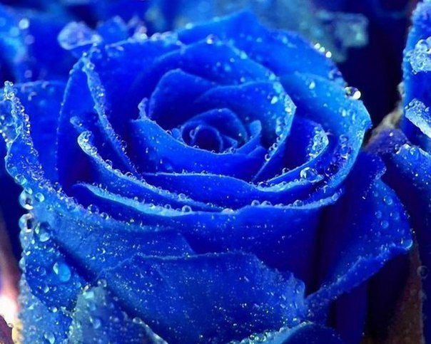 Валентина Крупа