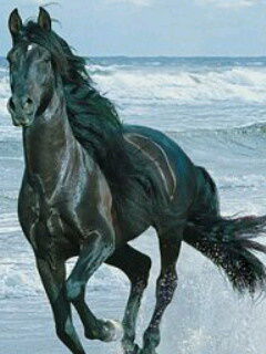 Алия Калиева