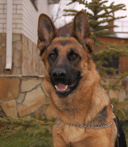 Вероника Щеблыкина