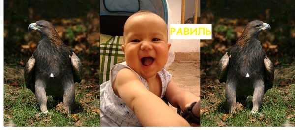 Рустам Мусаев