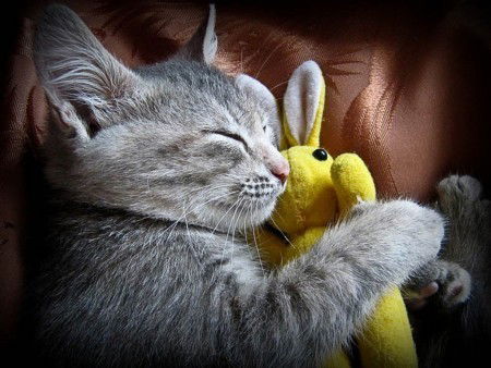 Сергей Вербицкий