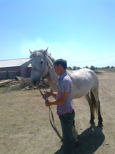 Ерсин Камзин