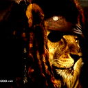 Gold Lion