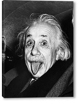 Дмитрий Соловьёв