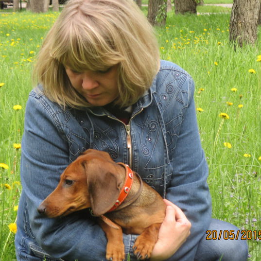 Ирина Полуэктова