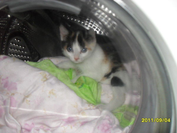 Криштиану Роналду