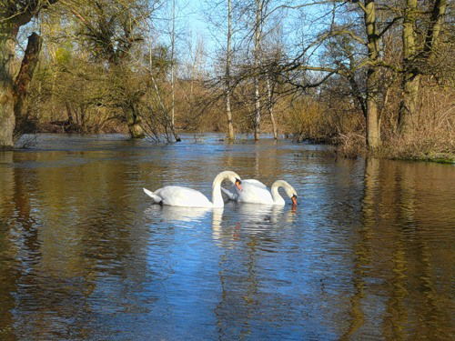 Ирина Рудометкина