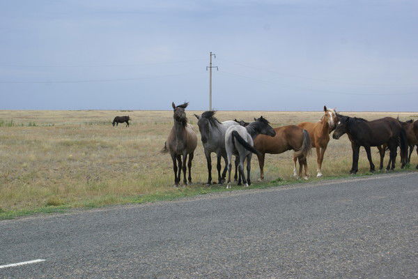 Марат Балгимбаев