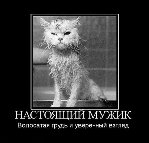 Михаил Макаров