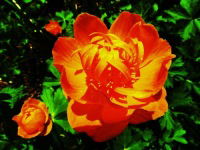 Альбина Стукалова