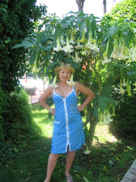 Людмила Людмила