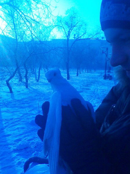 Лёха Осокин