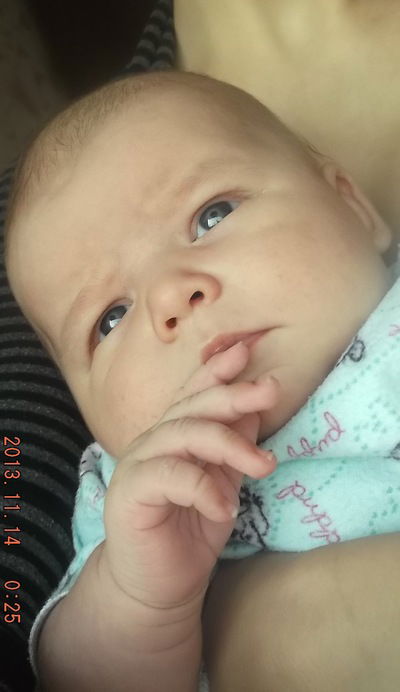 Дмитрий Лимонин