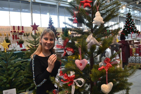 Елена Шестакова