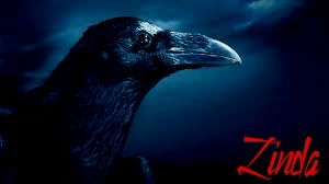 Вячеслав Бондаренко