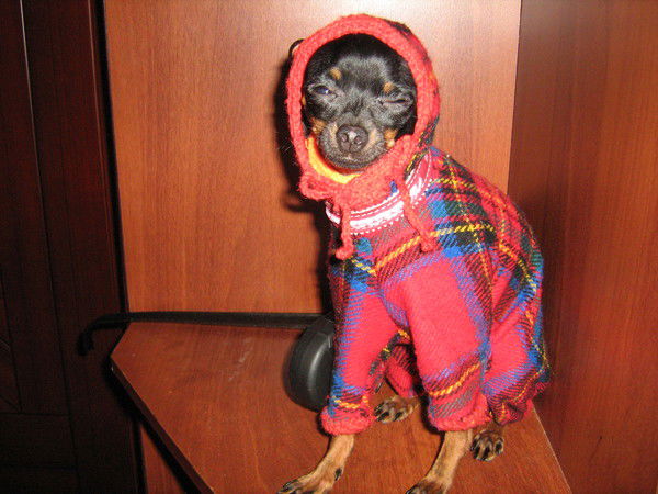 Галина Шевлякова