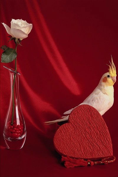 Евгений Петров