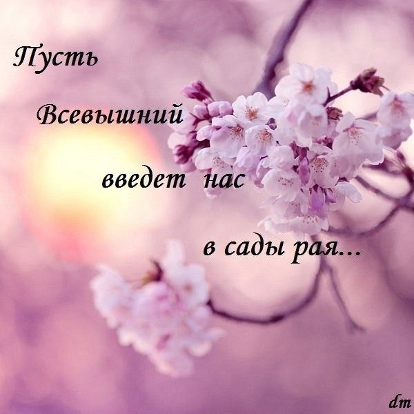 Раушан Абдраш